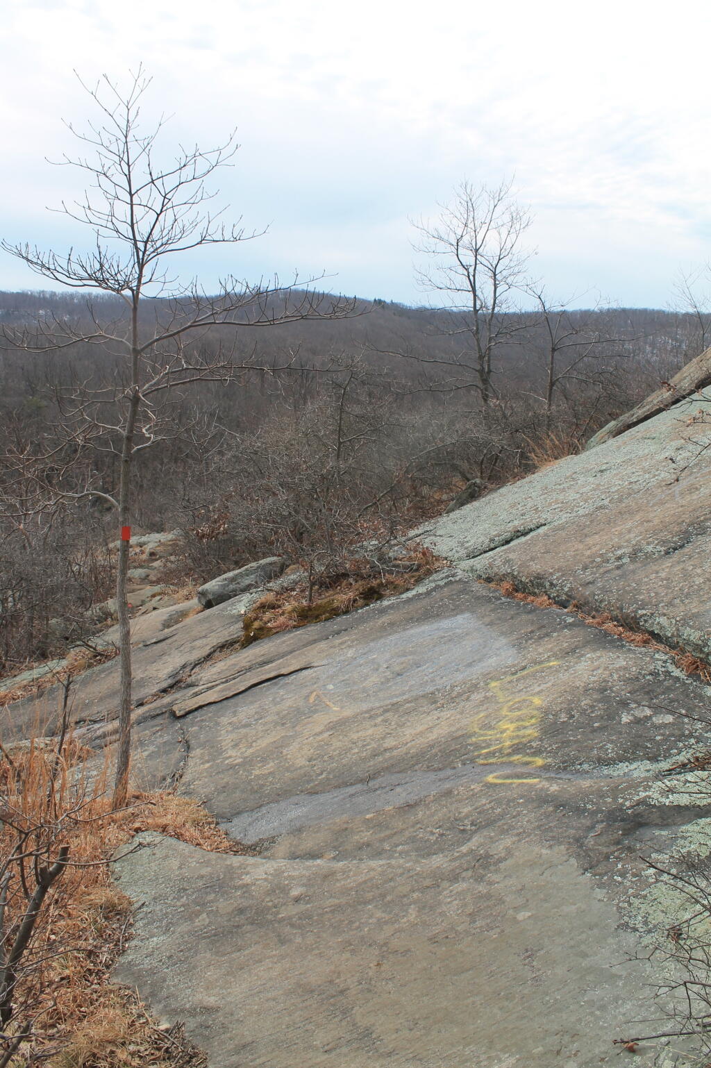 Photo: More Open Rock Face