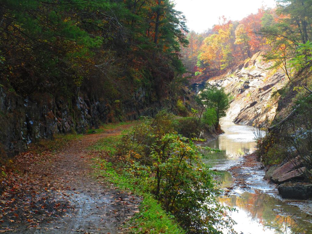 Photo: Canal Cut