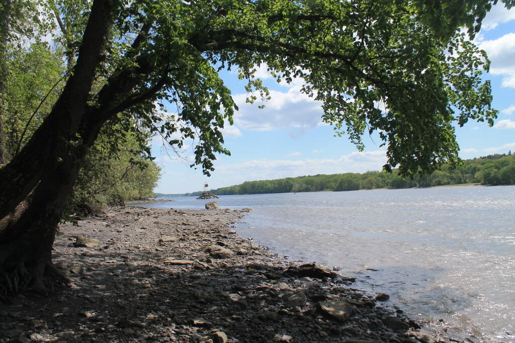 Photo: South