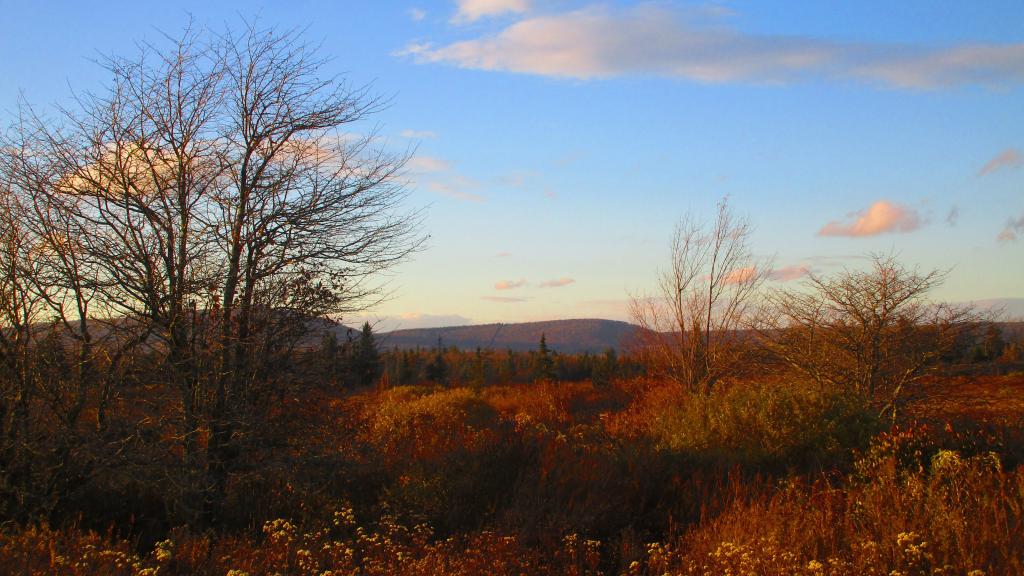 Photo: Evening at Canaan Wildlife Refuge