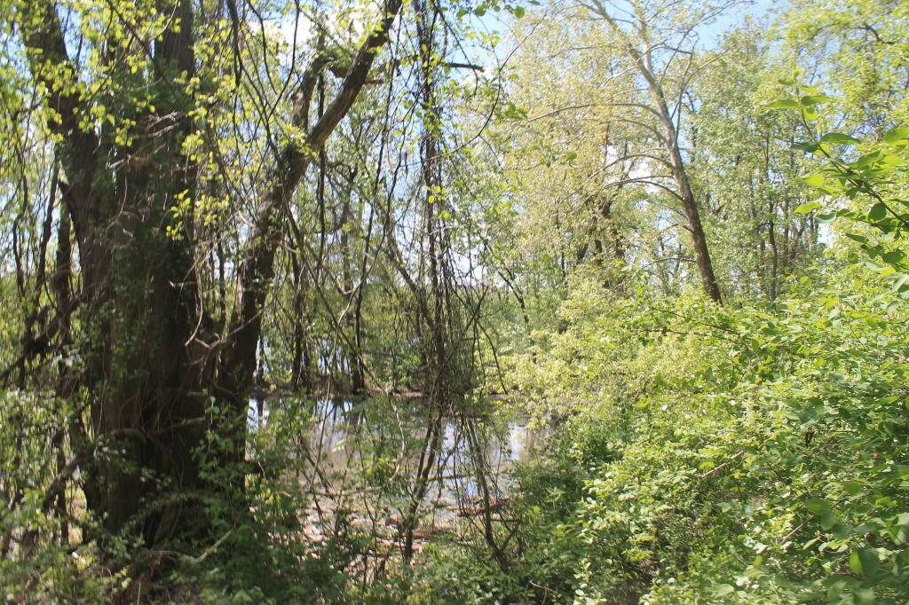 Photo: Water