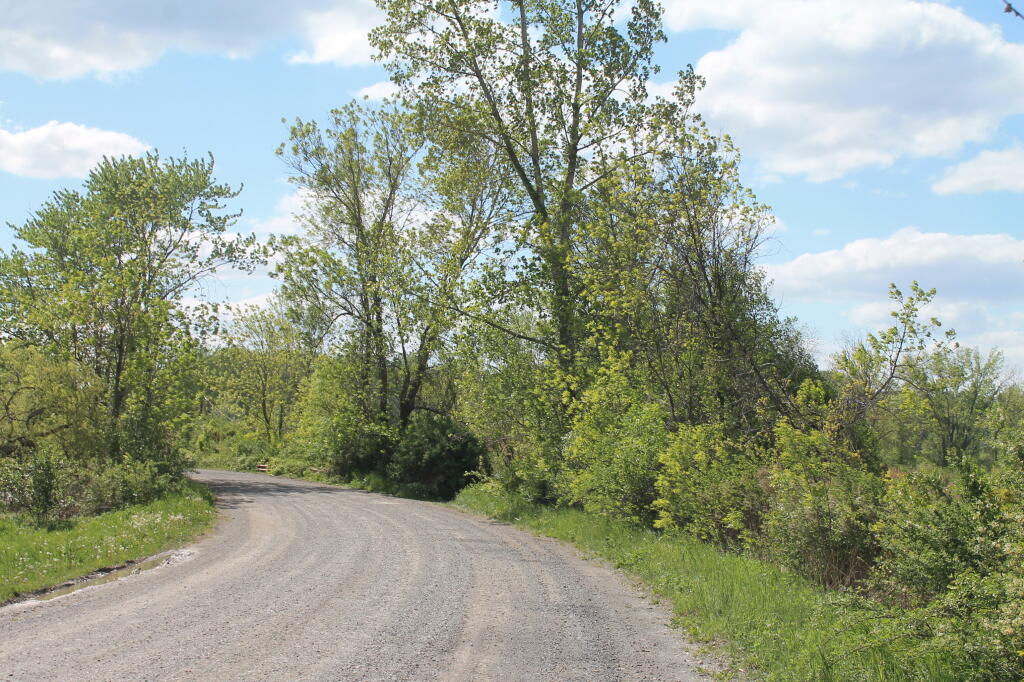 Photo: Staats Island Road