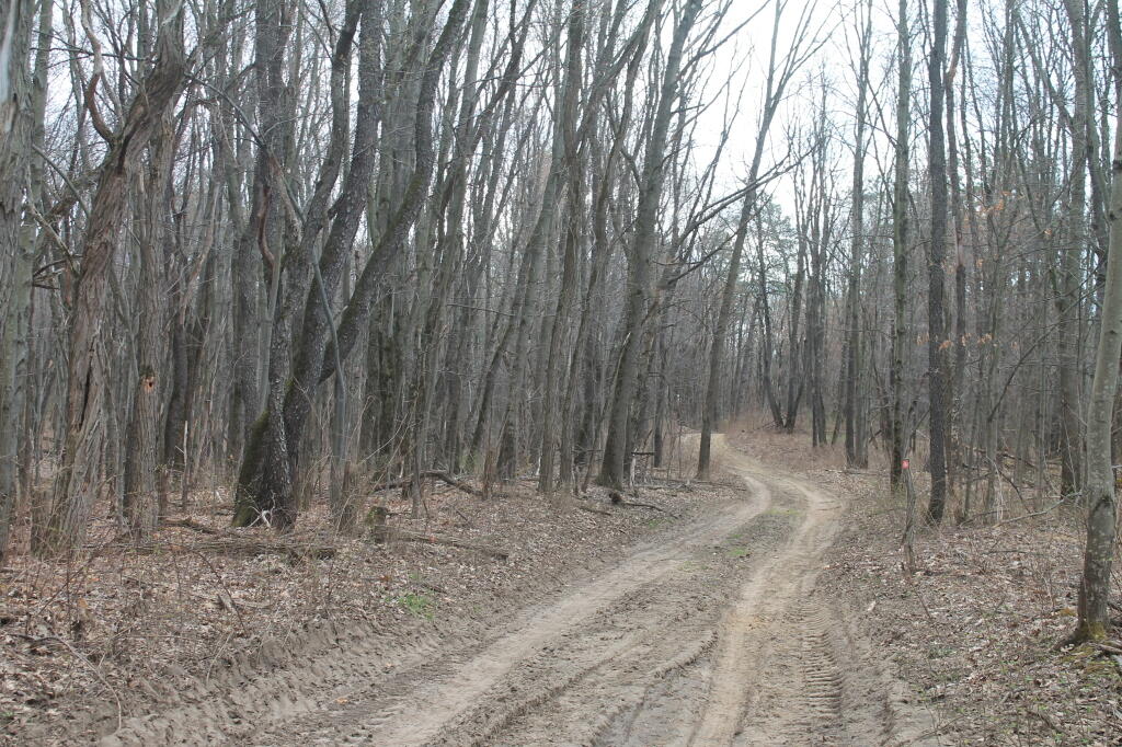 Photo: Red Trail