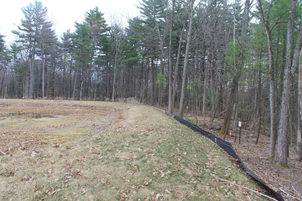 Photo: Man Made Wetland