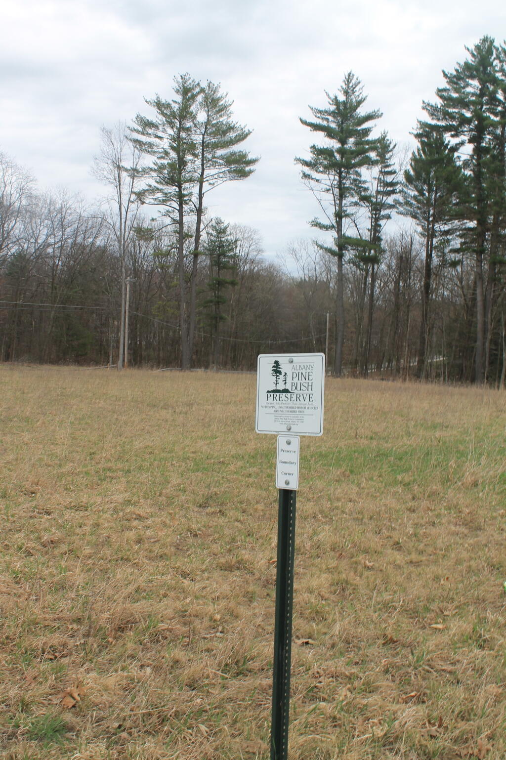 Photo: Bulldozed Pine Bush Preserve