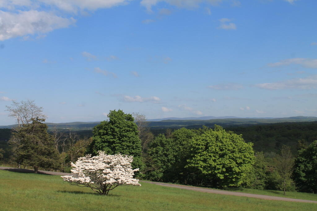Photo: Springtime