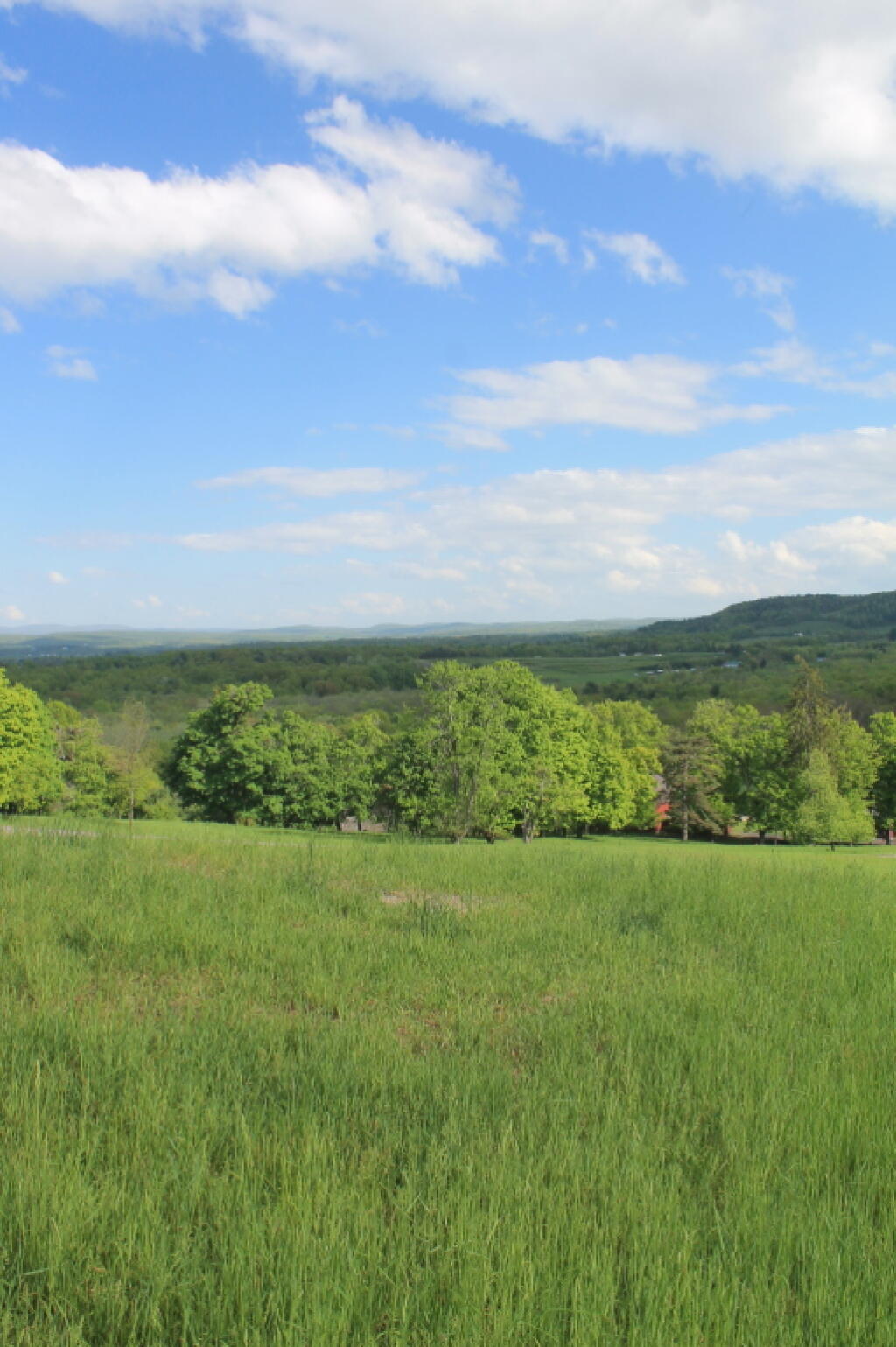 Photo: South Green Over Very Green Grass