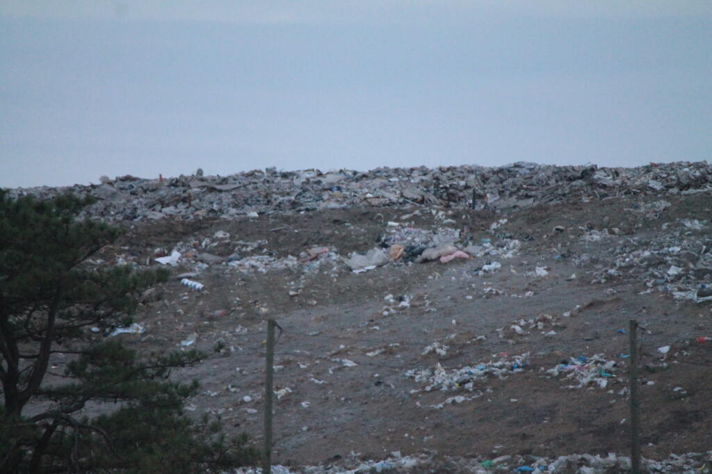 Photo: Trash 7