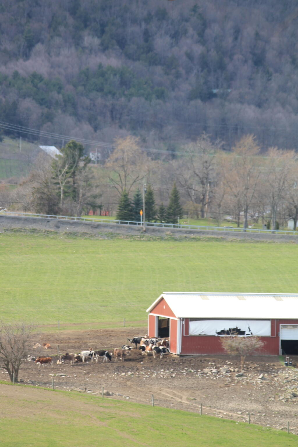 Photo: Greening Up Landscape
