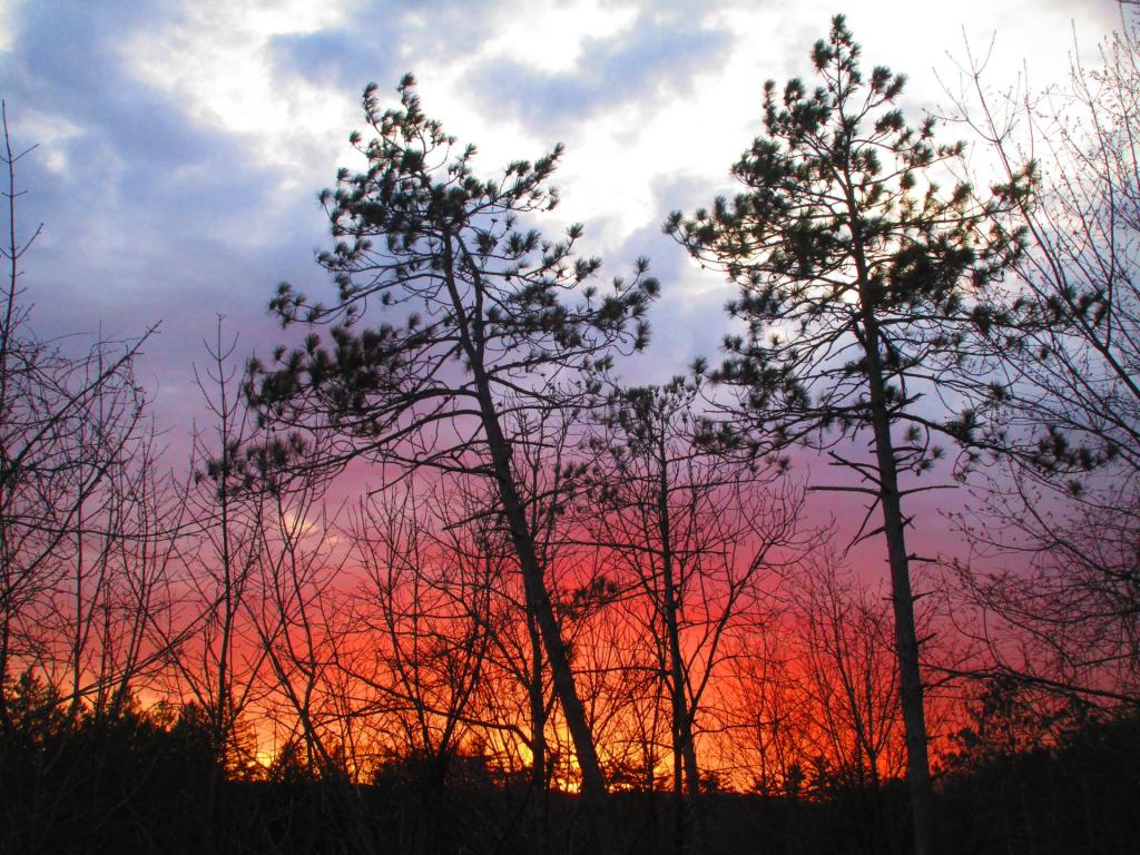 Photo: Firery