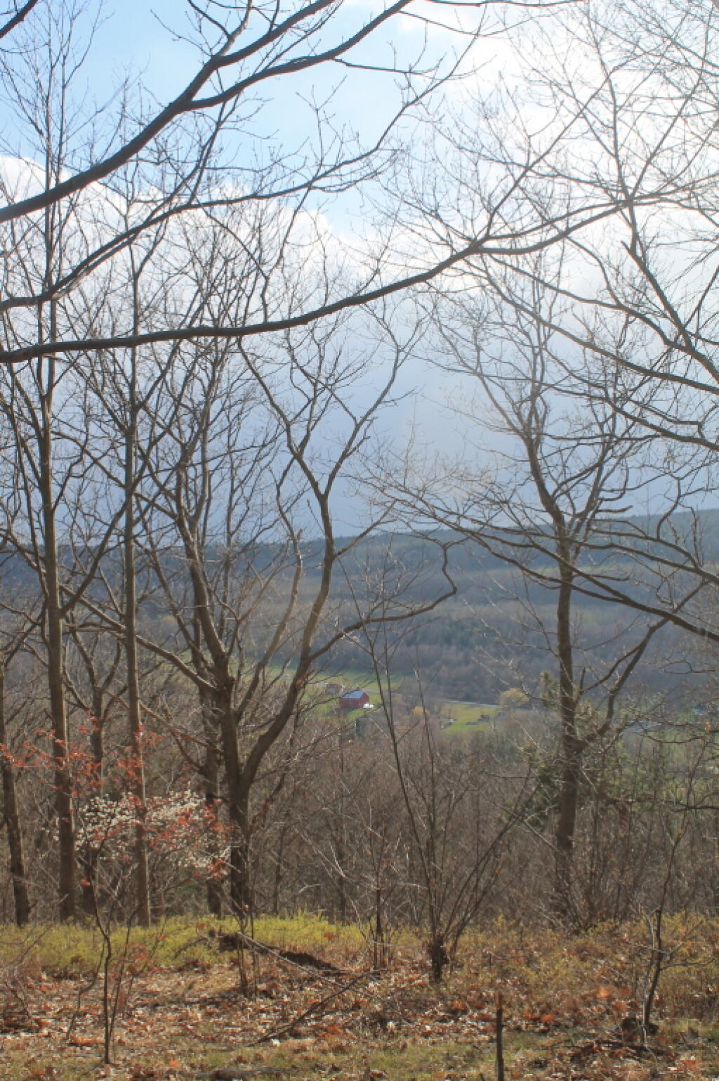 Photo: Looking South West