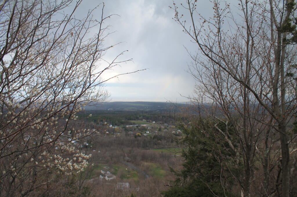 Photo: Rain Blowing By