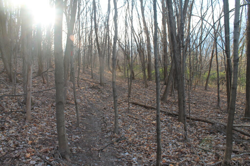 Photo: Sunlight