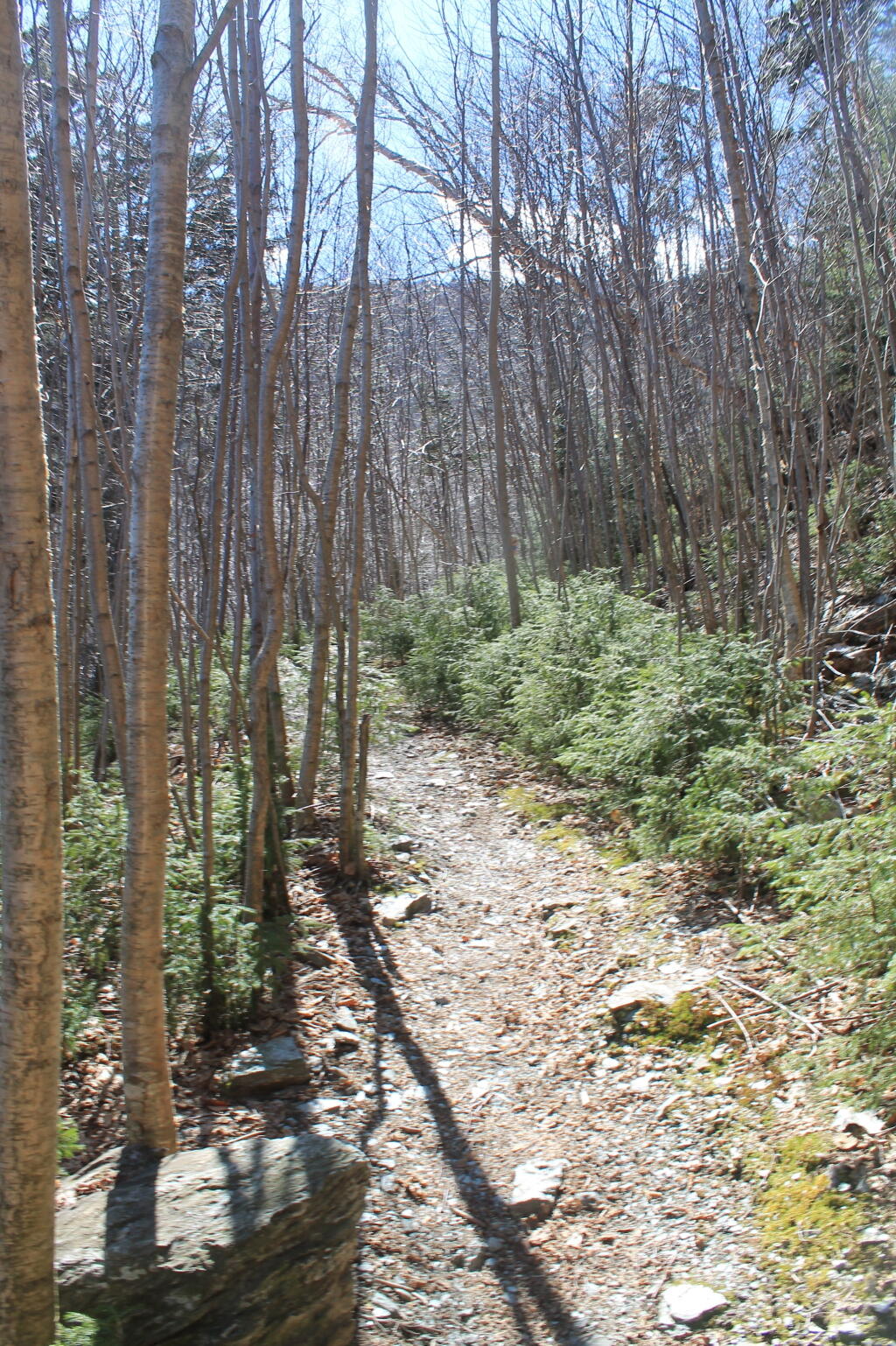 Photo: Along A Ledge, Towards the Ravine