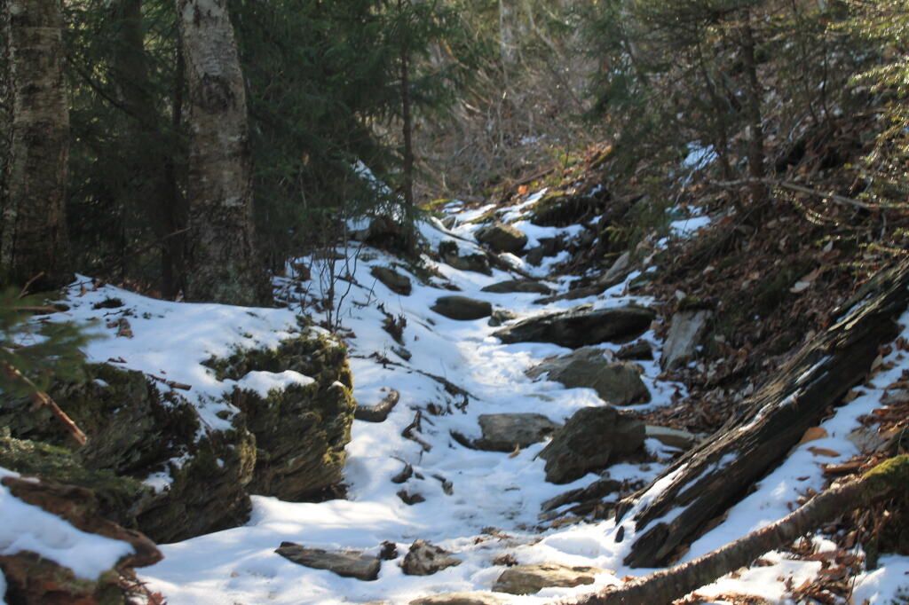 Photo: Reaching the Snow Line