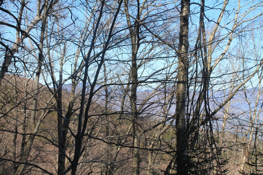 Photo: Views Get Better As You Climb