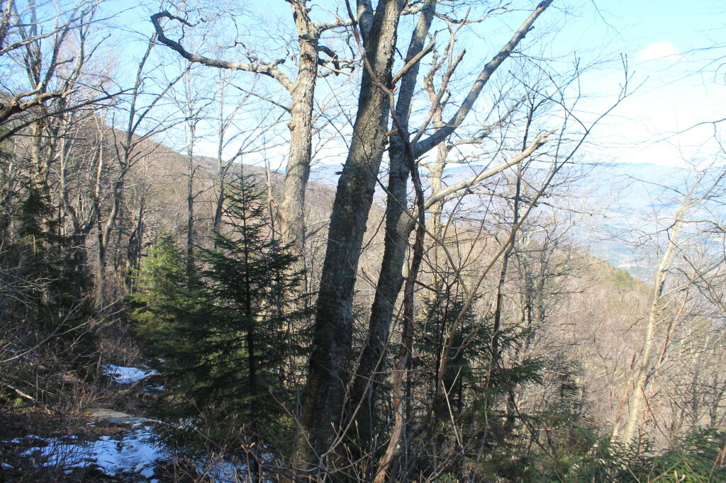 Photo: Into the Valley