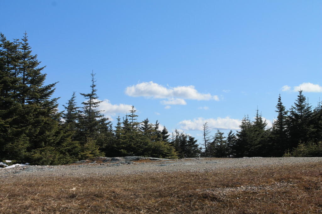Photo: Dirt Road
