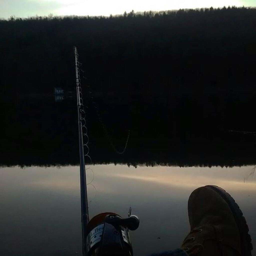 Photo: Dusk