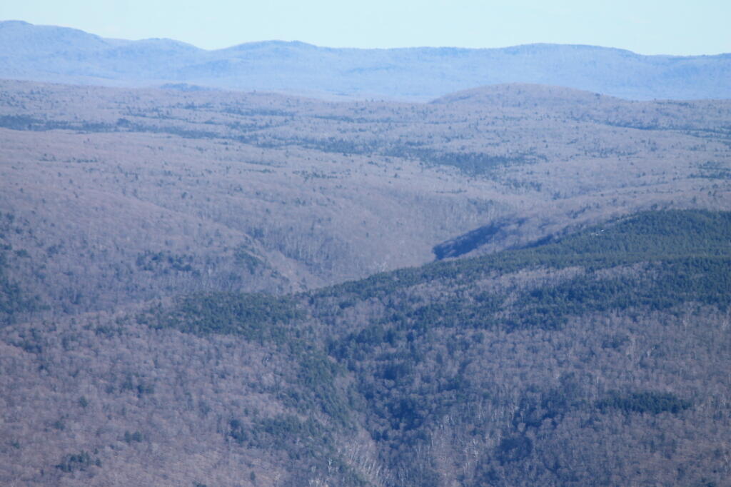 Photo: Downer Glen