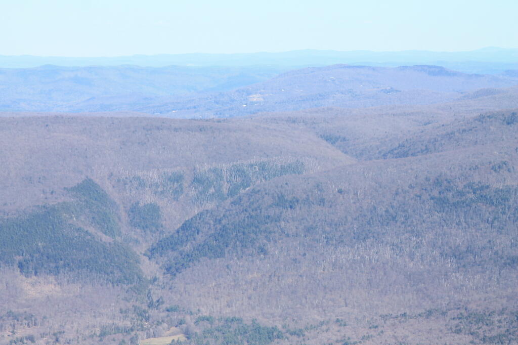 Photo: Downer Glen 2