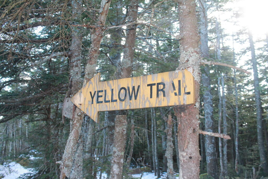 Photo: Yellow Trail