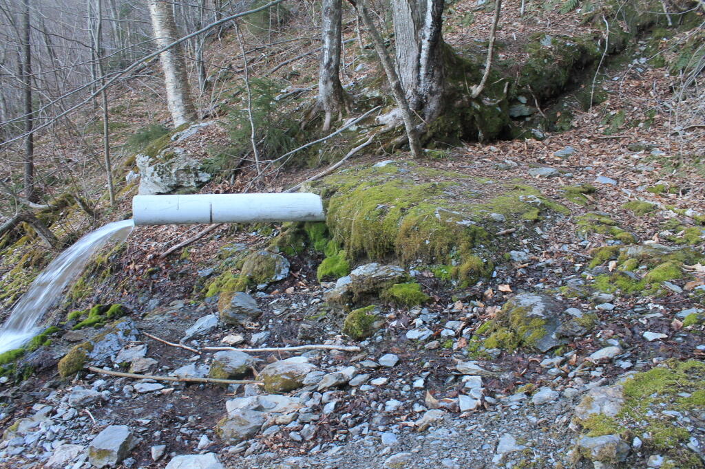 Photo: Upper Spring