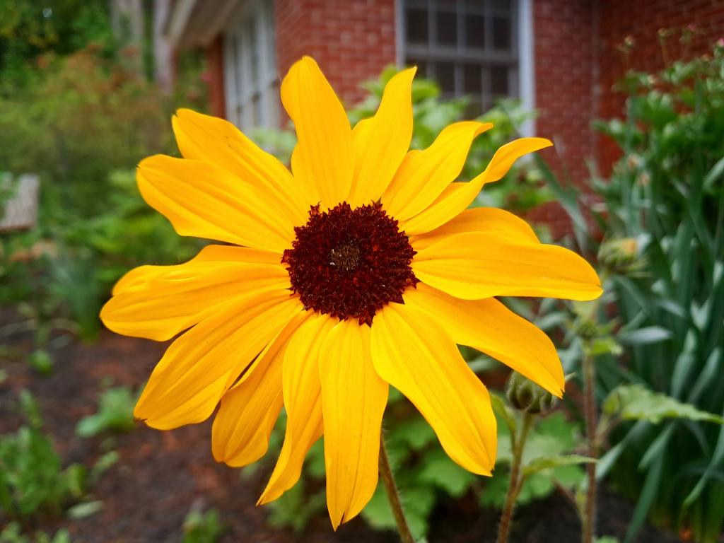 Photo: Black Eye [Expires June 6 2026]