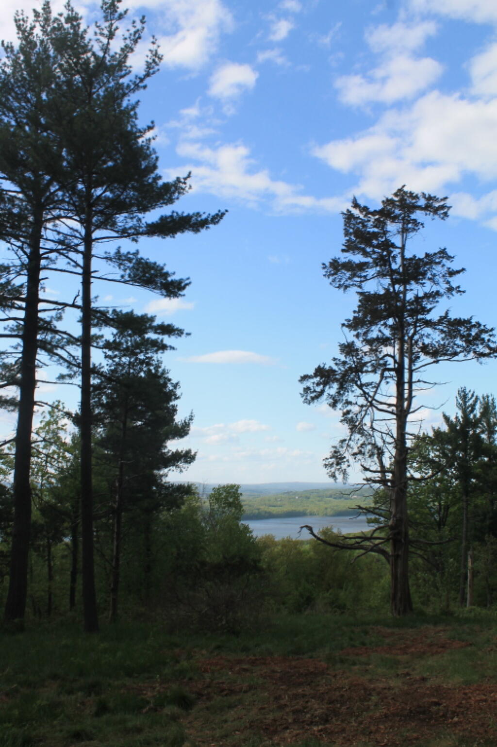 Photo: The River