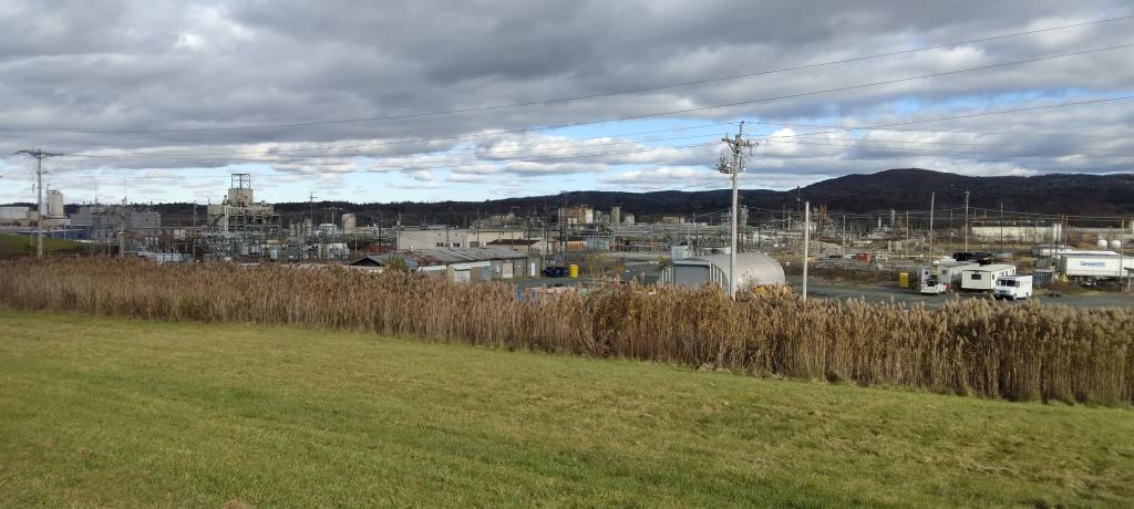 Photo: Momentum Plastics from the Old Waterford Landfill