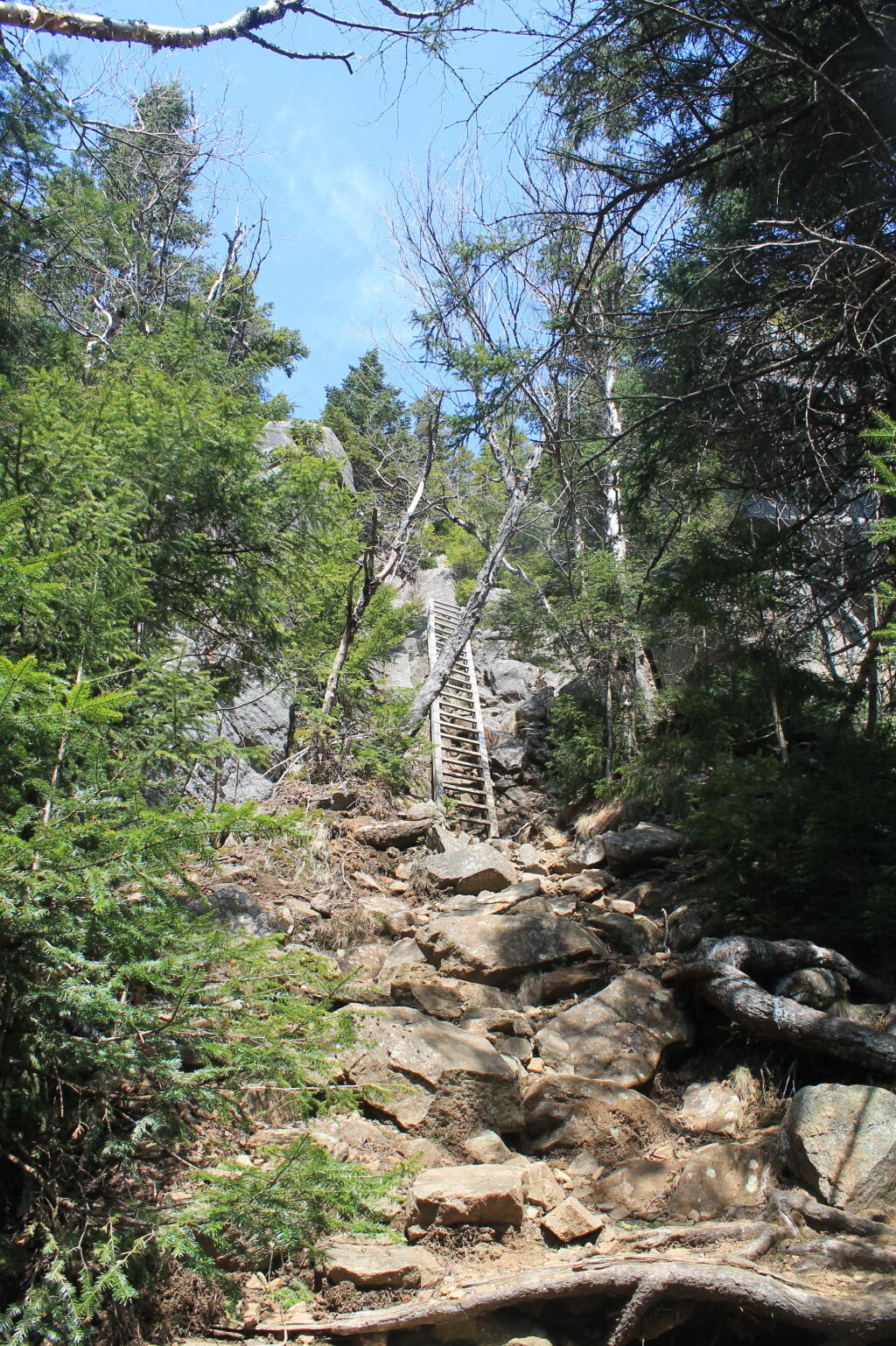 Photo: The Ladder to the Top