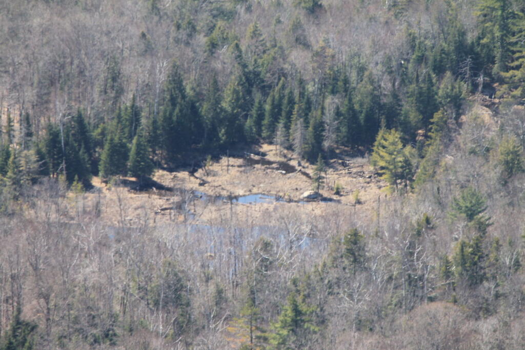 Photo: Putnam Pond Road Swamp