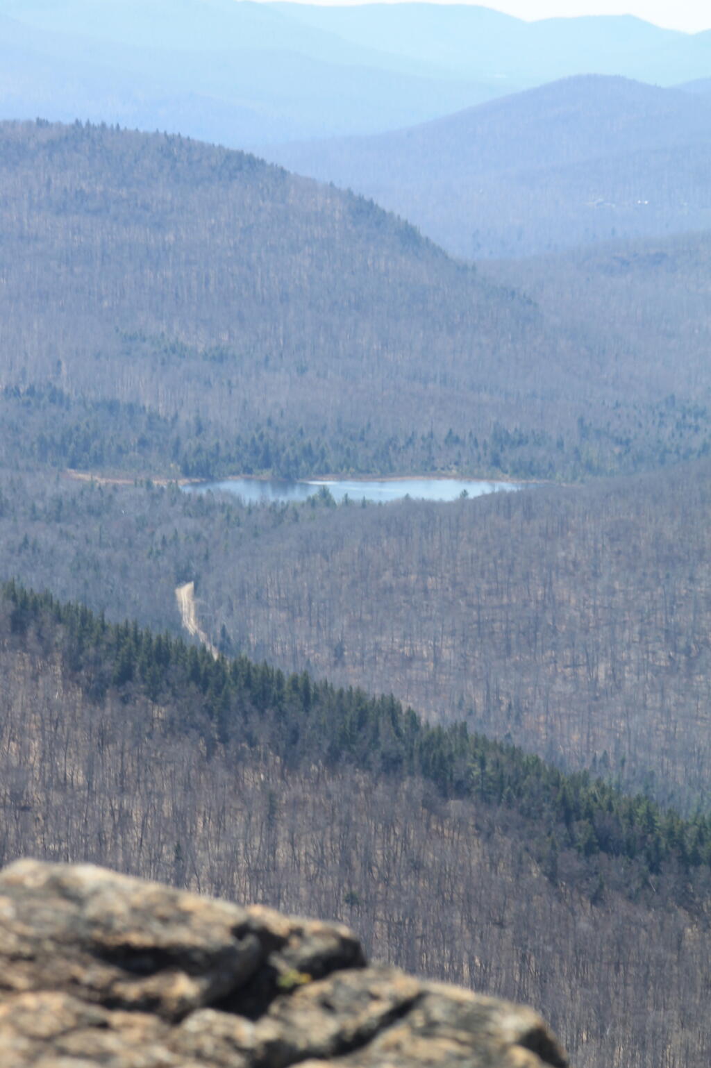 Photo: Pond Along Garnet Lake Road