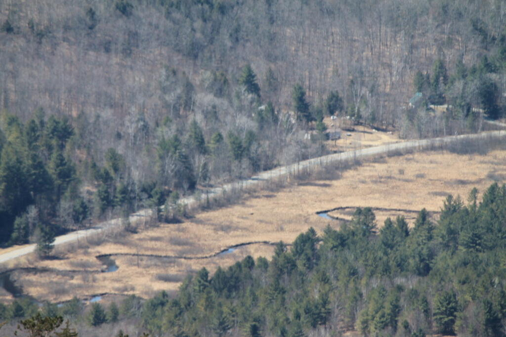 Photo: Mill Creek