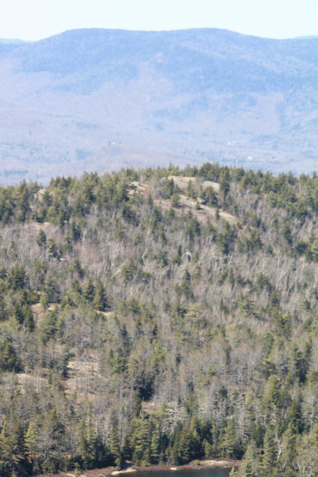 Photo: Crane Pond Mountain with Eleventh Mountain Behind It