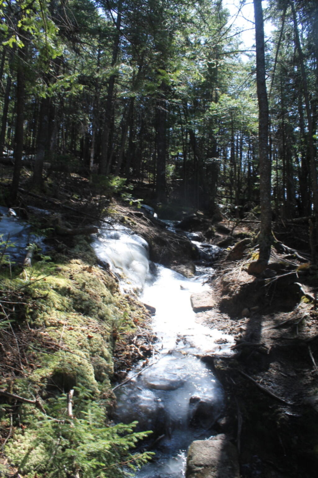 Photo: North Side Trail is Pretty Icy