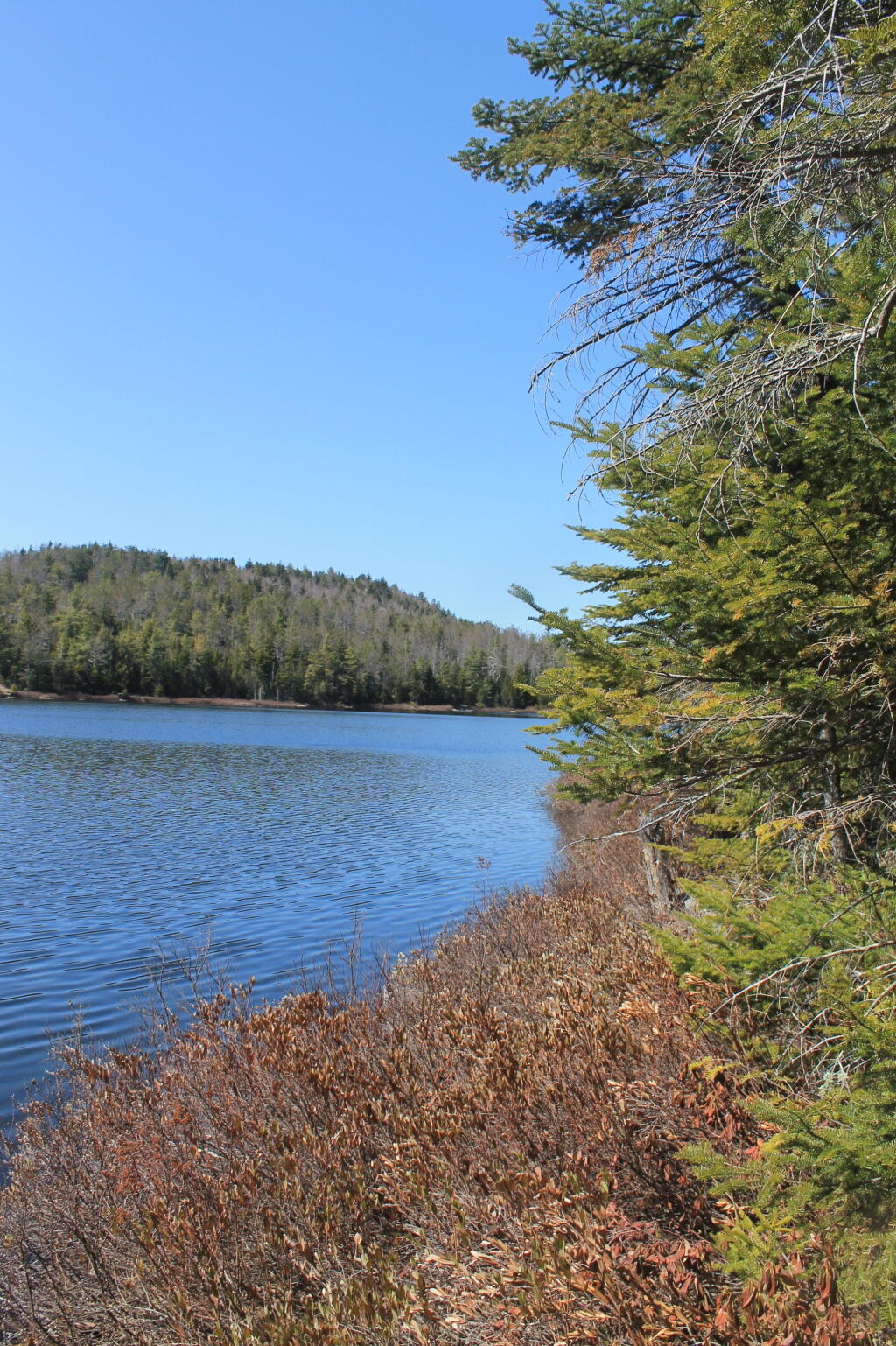 Photo: Next to Crane Pond