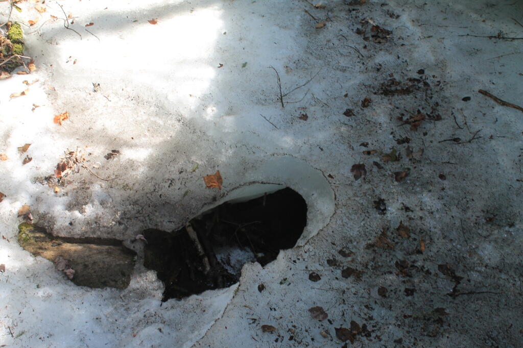 Photo: Ice is Real Deep There
