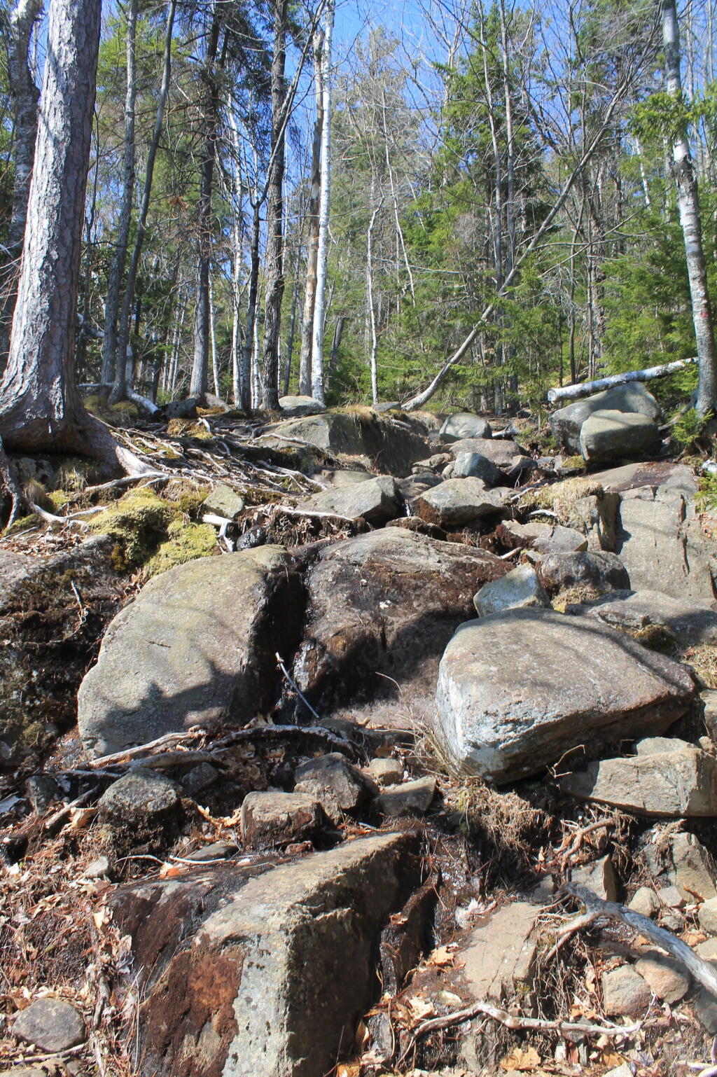 Photo: Climbing Down the Large Rocks