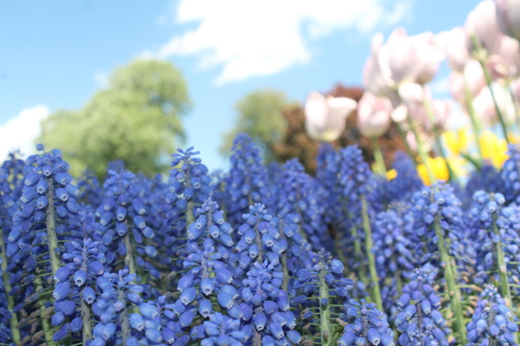 Photo: Img 9829