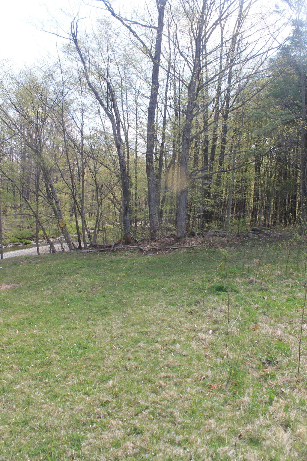 Photo: Greening Up Field