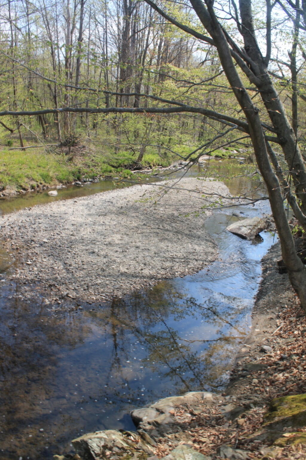 Photo: Fairly Low Creek Levels