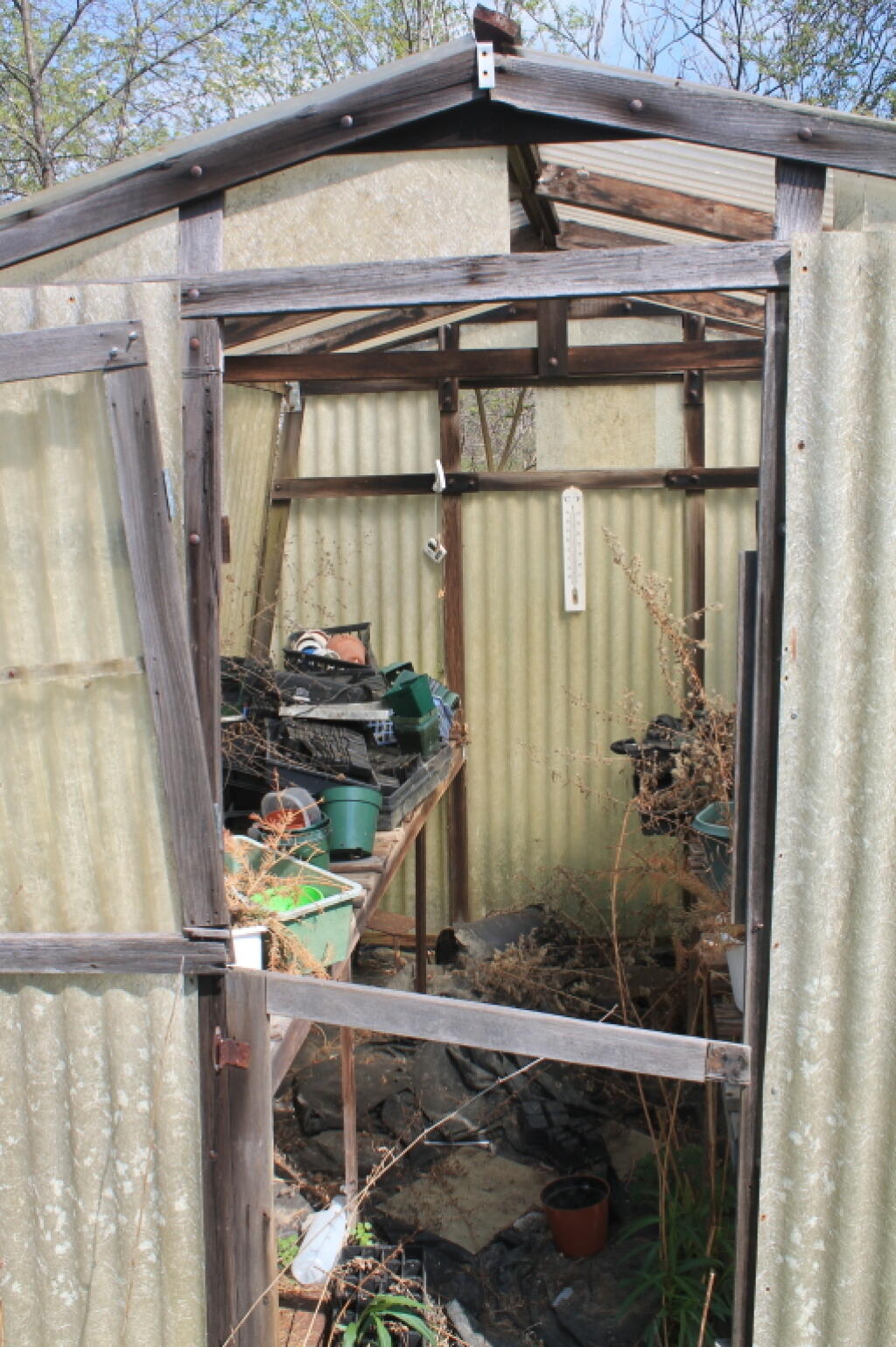 Photo: The Greenhouse