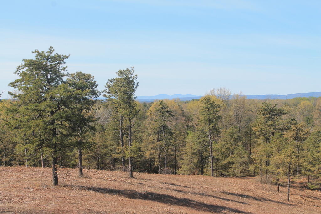 Photo: From Overlook Dune