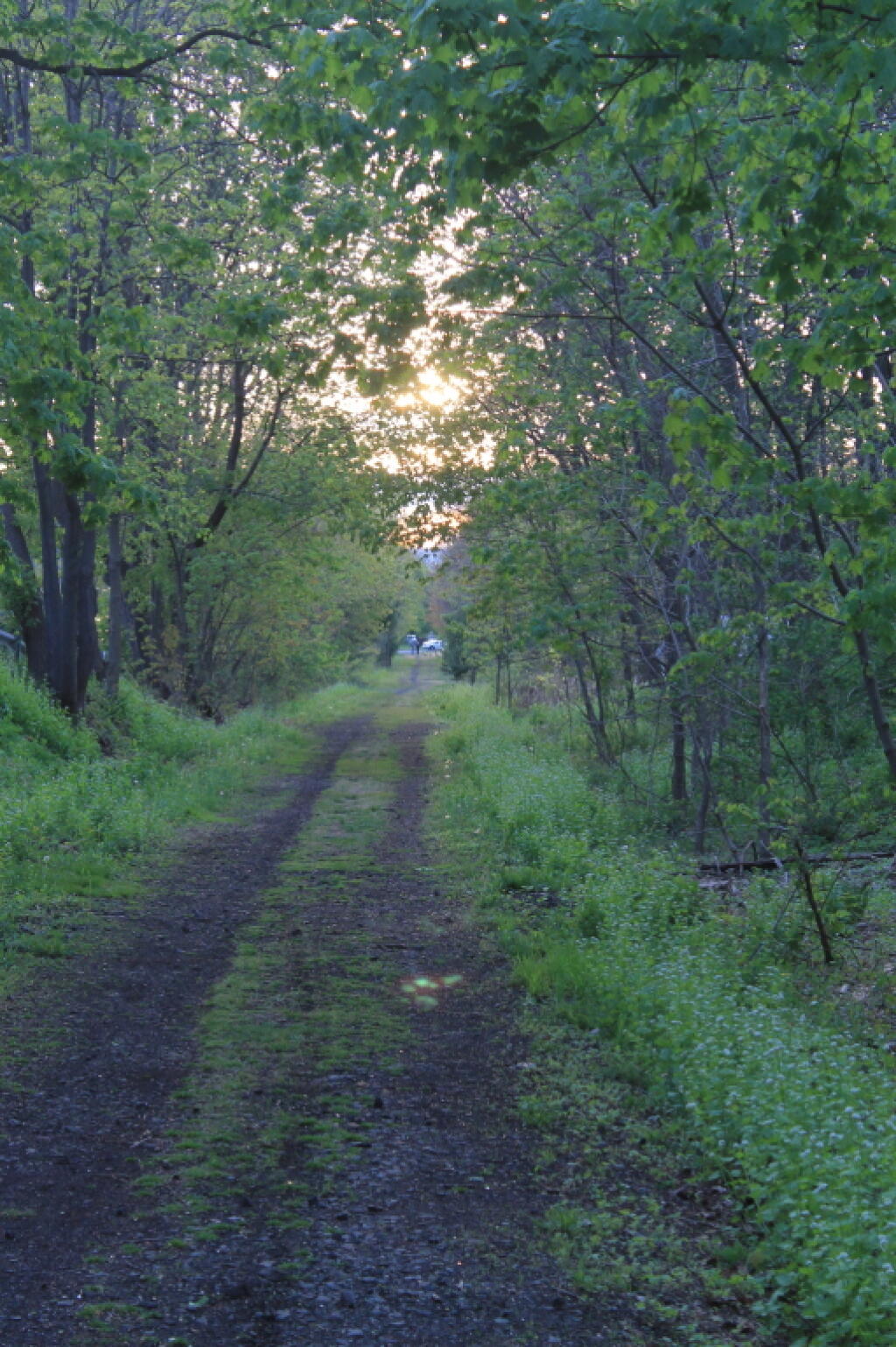 Photo: The Rail Trail