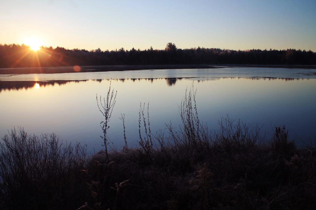 Photo: Frosty Morning at Mason Lake