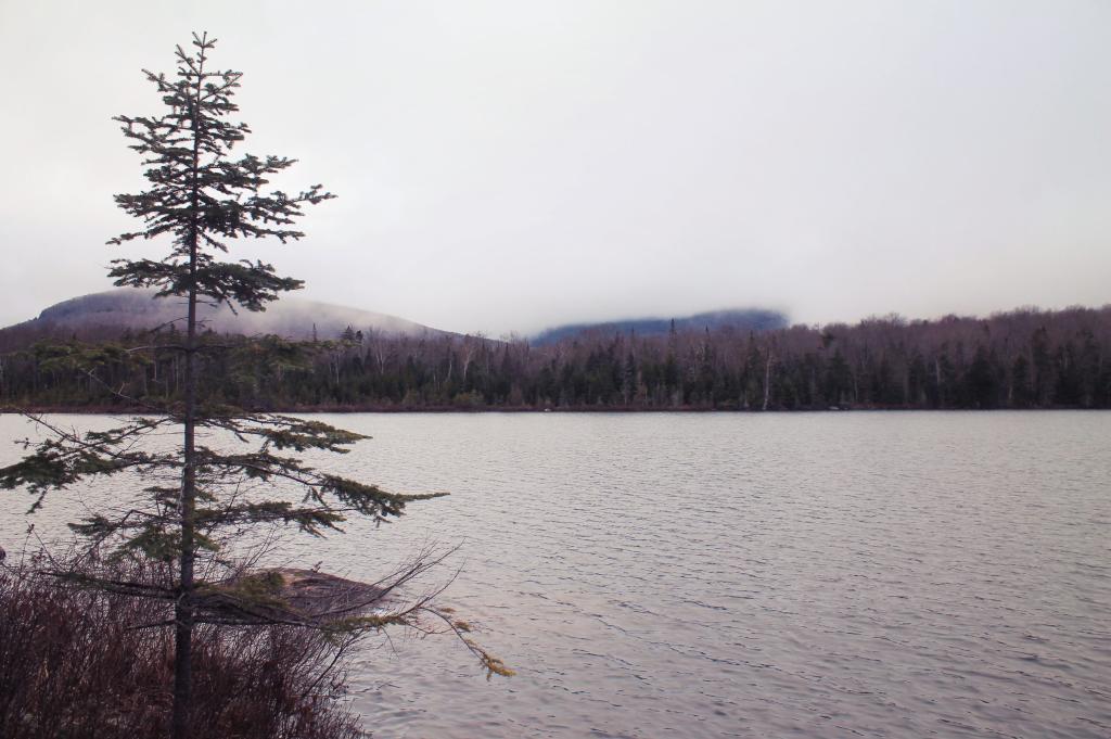 Photo: Fog Hangs Low Over Wakley Pond