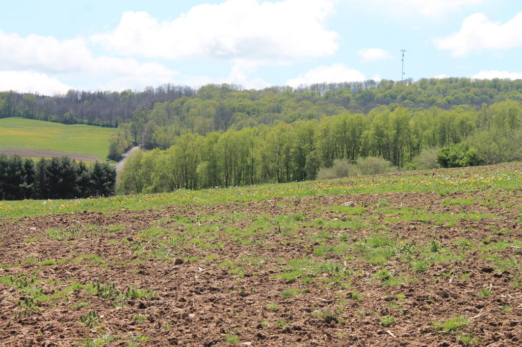Photo: Farm Field