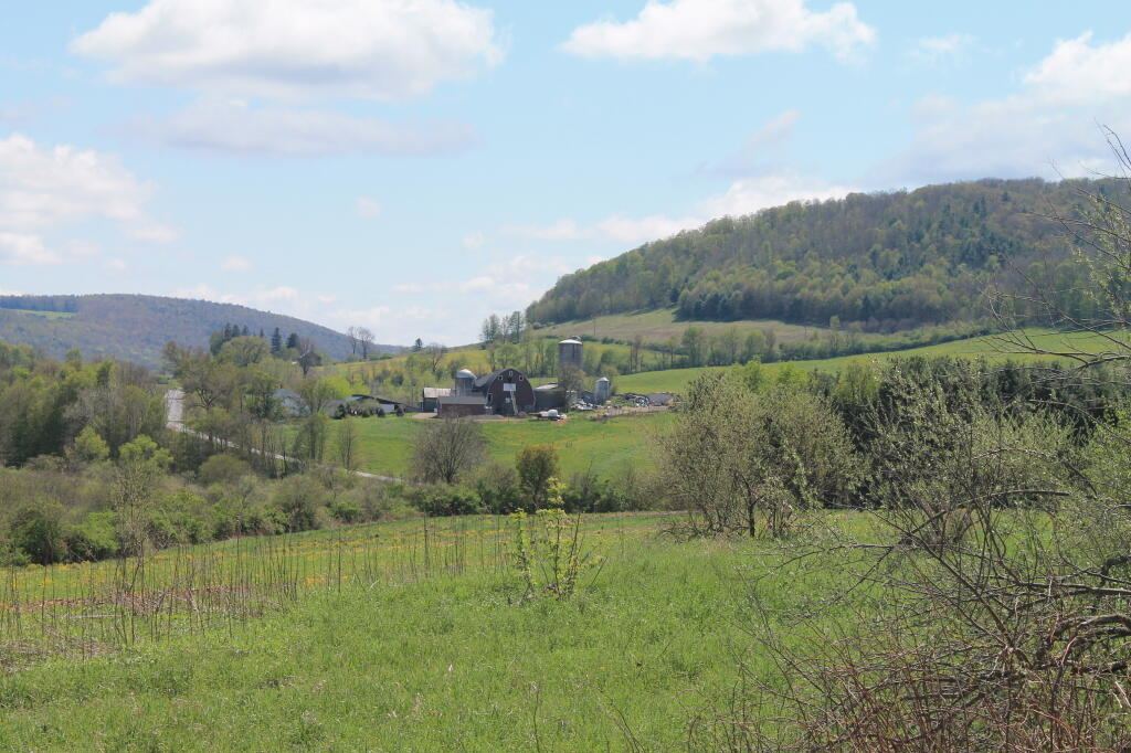 Photo: South-East from Farm Tower