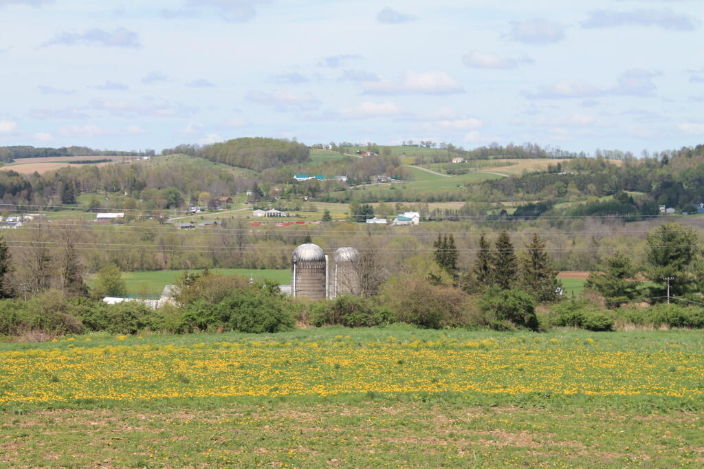 Photo: To the North